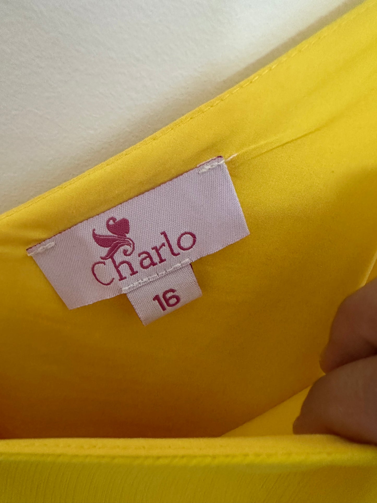 CHARLO Rainbow cami Size 16